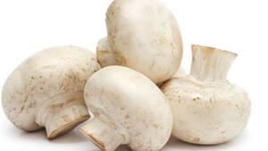 Més informació sobre l'article S’autoritza la farina de bolets amb vitamina D2 com a nou aliment