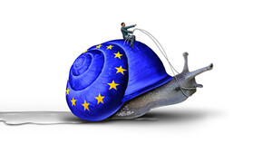 Read more about the article We help third-country companies introduce their food supplements into the EU